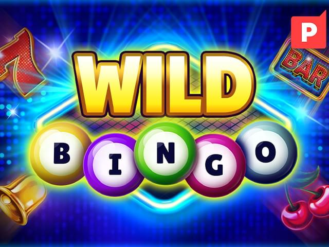 5533bet Bingo Selvagem